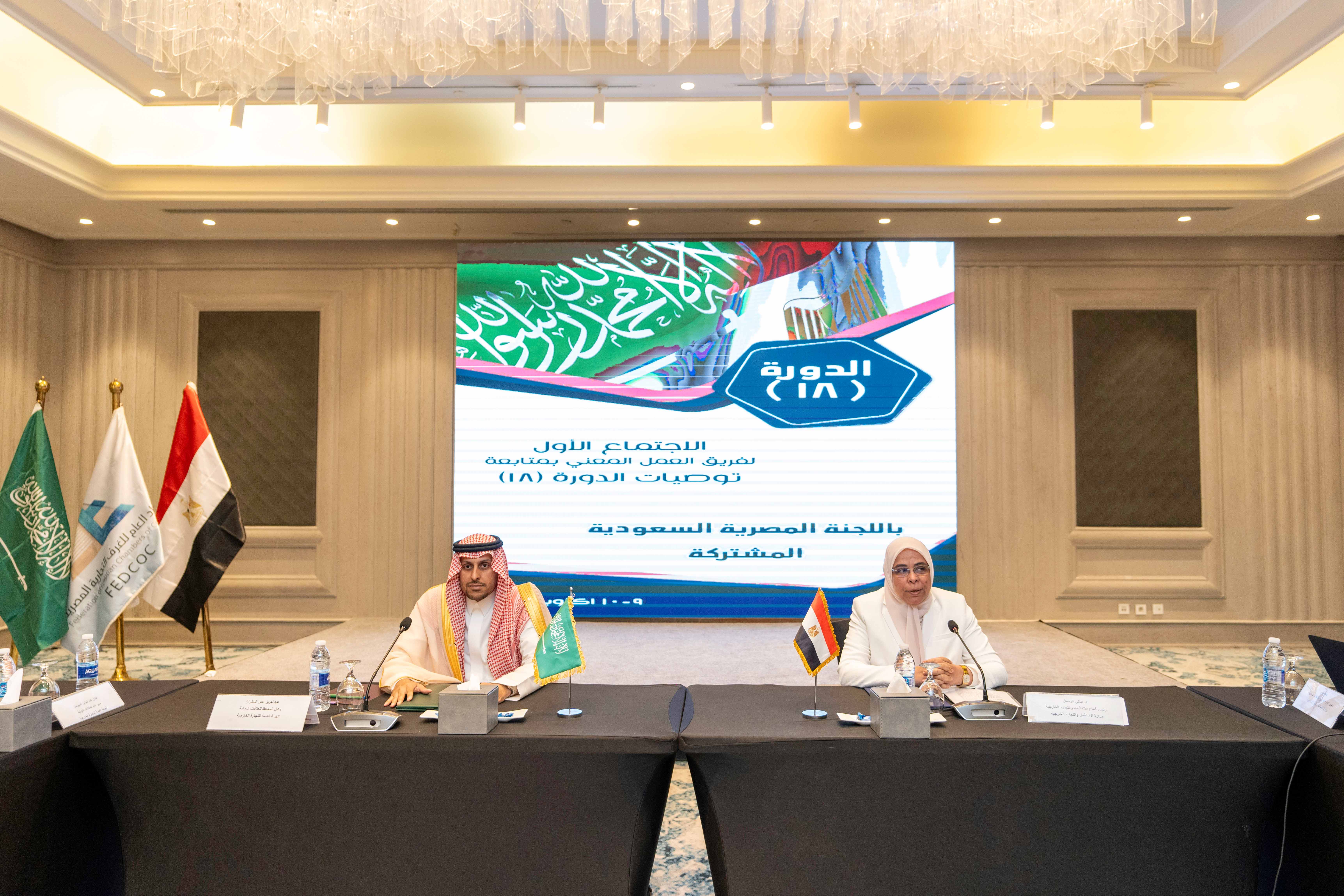 The 1st Meeting of the Technical Follow-Up Team of the Saudi-Egyptian Joint Committee in Cairo