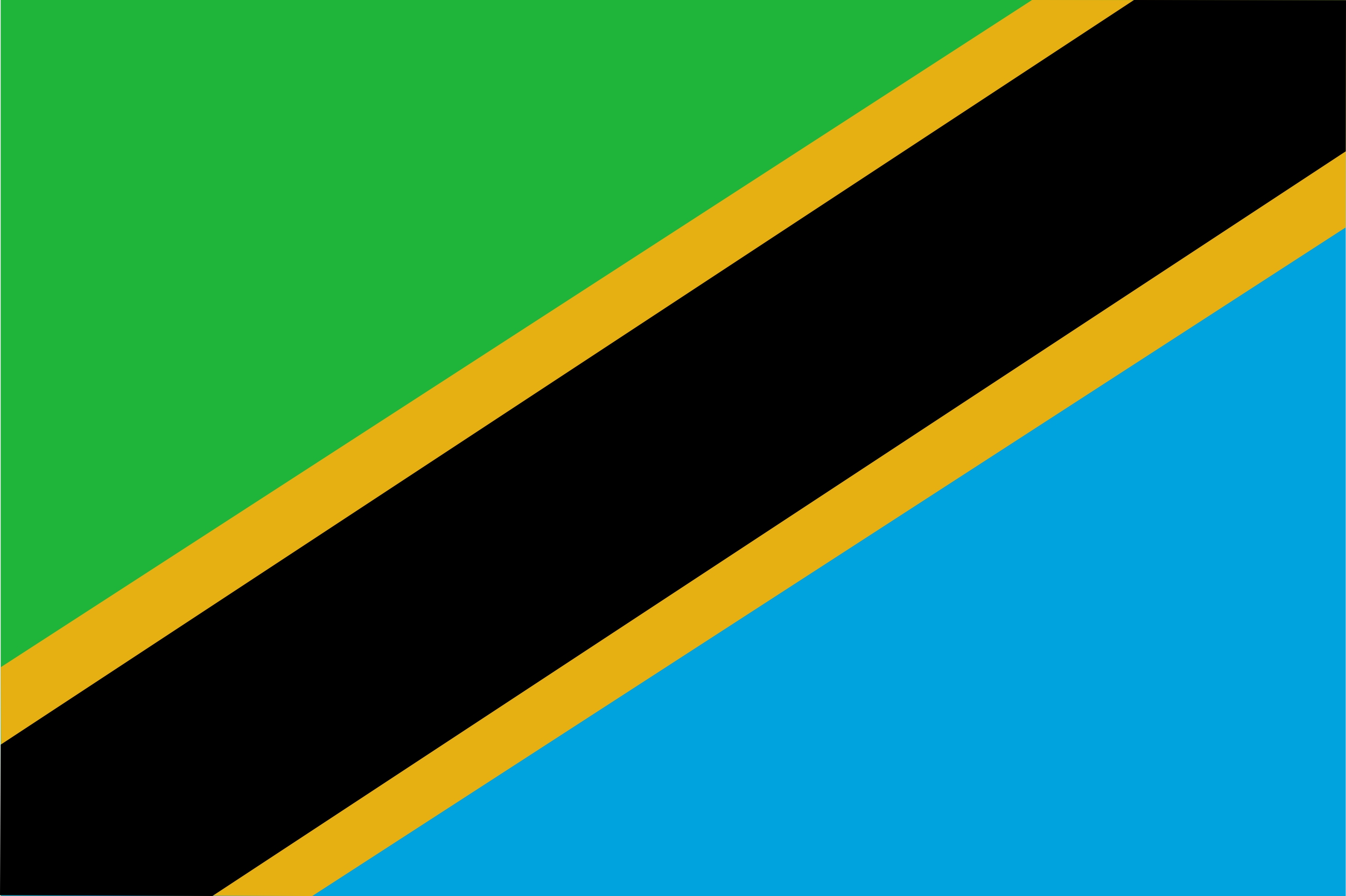 Tanzania Flag